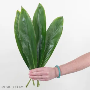 Cordelyn Leaves Greenery