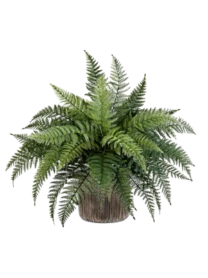 Fern in Baq Luxe Lite Universe Waterfall Office Plant With Pot 68cm Height 19cm Dia