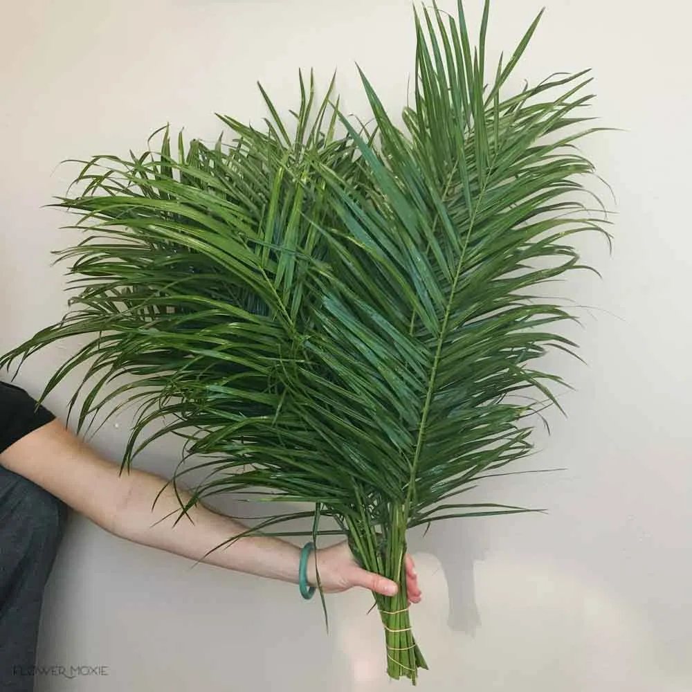 Robellini Palm Greenery